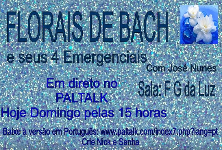 Palestra em nossa sala: F.G. da Luz 17.06.2012