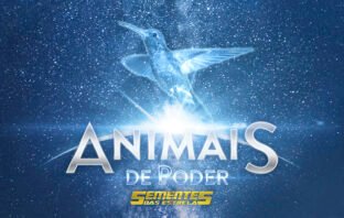 Animais de Poder: Beija-flor