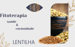 Fitoterapia – “Lentilha”