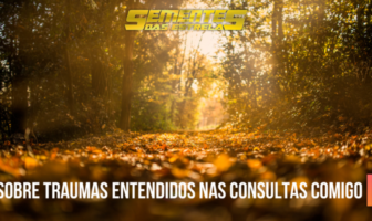 Sobre traumas entendidos nas consultas comigo Rafael (Neva/Gabriel RL)