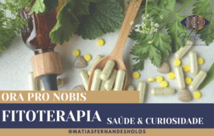 Fitoterapia – “Ylang-Ylang”