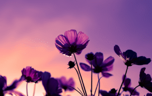 Mindfulness no local de trabalho: por que precisamos?