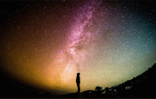 Kate Spreckley – “Discernir e Perceber”