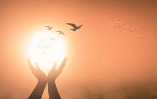 Natalie Gianelli – “Conversas conscientes”