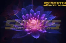 Patrícia Cota-Robles – “Aviso especial”