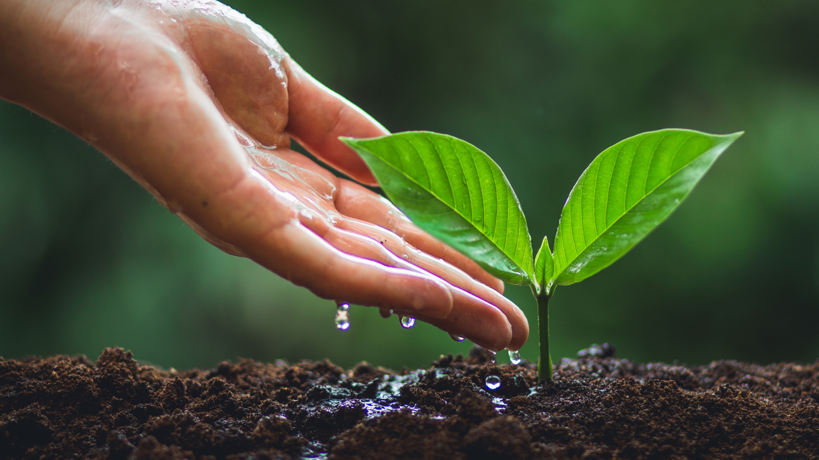 Acredite em seu potencial