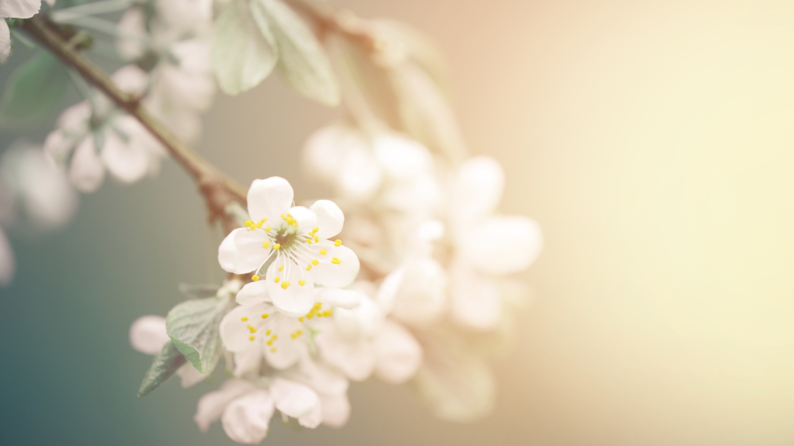 O desafio de discernir a realidade em um mundo em transformação