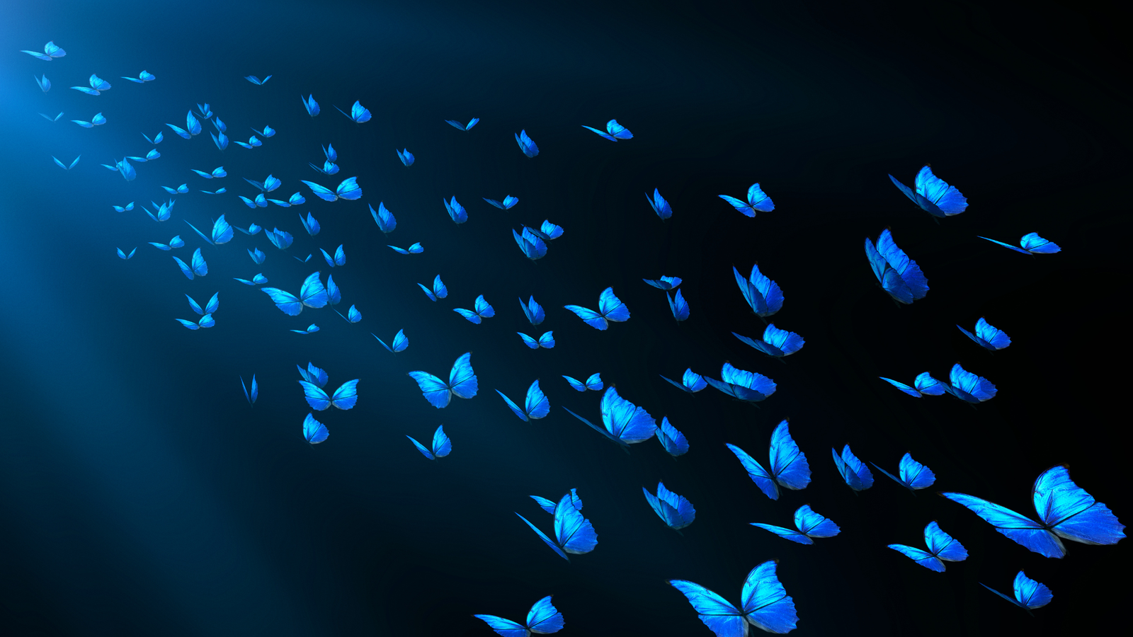 A pessoa mais poderosa