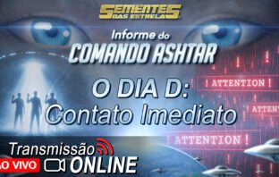 O Dia D Contato Imediato