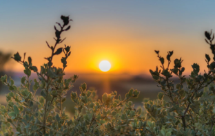 Mensagem do Pai João de Enoque