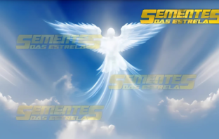 Representação de anjos da guarda iluminando detalhes simples da natureza, como uma folha de grama e orvalho, para mostrar como ver a vida através dos olhos da alma