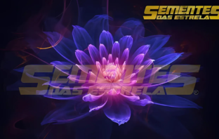 Representação da Chama da Ressurreição Madrepérola envolvendo o corpo humano e a Terra, simbolizando a purificação celular e a transição para a base cristalina