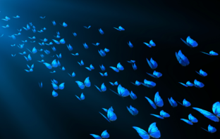 Libertar-se das limitações 3D e cocriar o novo mundo