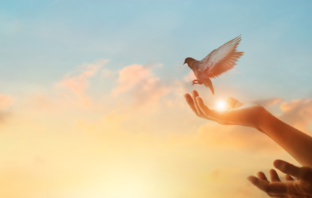 Reflexão de Jennifer Chapin sobre discernimento, ascensão e liberdade espiritual